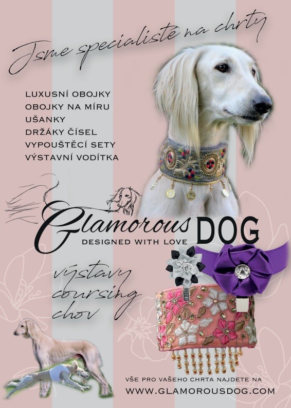 glamorous-dog.jpg