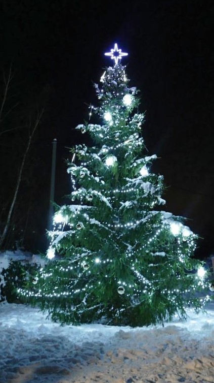 vanocni-strom-jince.jpg